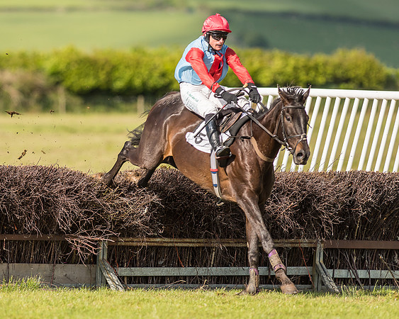 Race 6 - Open Maiden Race (62 of 71).jpg