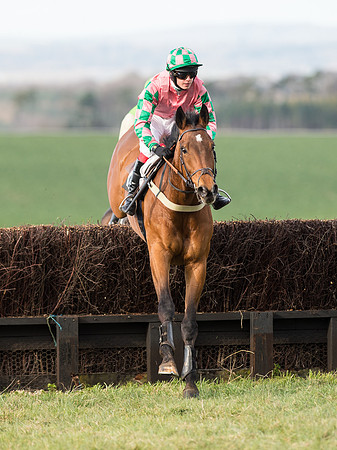 Race 6 - Open Maiden (46 of 110).jpg