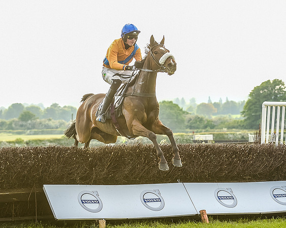 Race 7 - Div 2 - Open Maiden (81 of 163).jpg