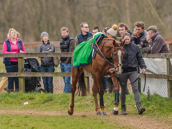 Race 5 - Open Maiden Division 2 (12 of 112).jpg
