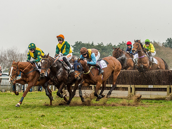 Race 5 - Open Maiden Division 2 (62 of 112).jpg