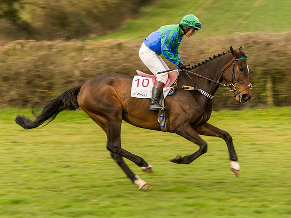 Race 6 - Open Maiden Division 1  (52 of 133).jpg