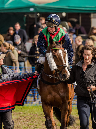 Race 5 - The Southern Grand national (14 of 96).jpg