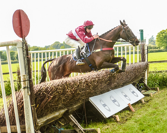 Race 7 - Div 1 - Open Maiden (71 of 94).jpg