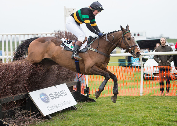 Race 7 - PPORA Novice Riders-75