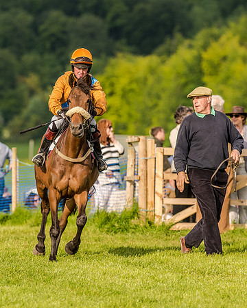 Race 7 - Div 2 - Open Maiden (53 of 163).jpg