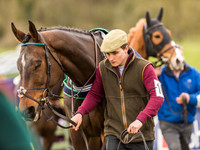 Race 6 - Open Maiden Division 1  (6 of 133).jpg