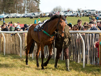 Race 2 - Confined Hunts Race (5 of 87).jpg