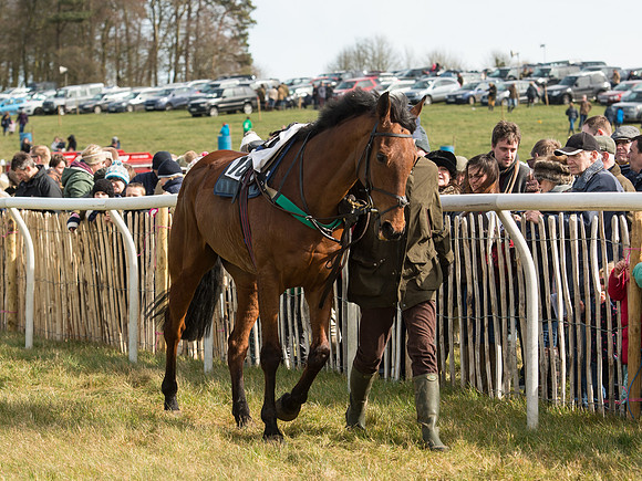 Race 2 - Confined Hunts Race (5 of 87).jpg