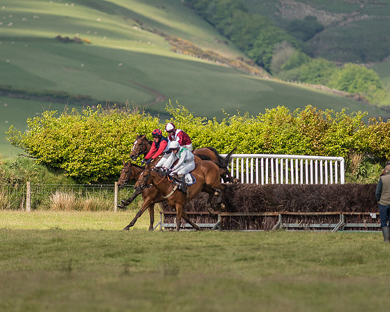 Race 5 - Intermediate Race (37 of 47).jpg