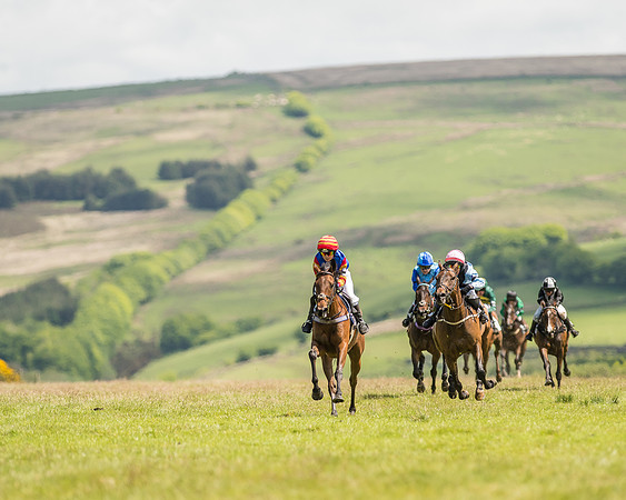 Pony Race 2  (17 of 33).jpg