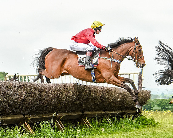 Race 2 - PPORA Members Novice Riders  (48 of 112).jpg