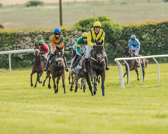 Race 7 - Div 2 - Open Maiden (69 of 163).jpg