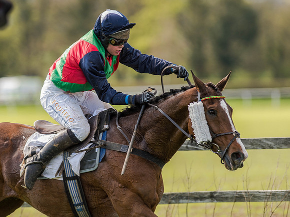 Race 5 - The Southern Grand national (68 of 96).jpg