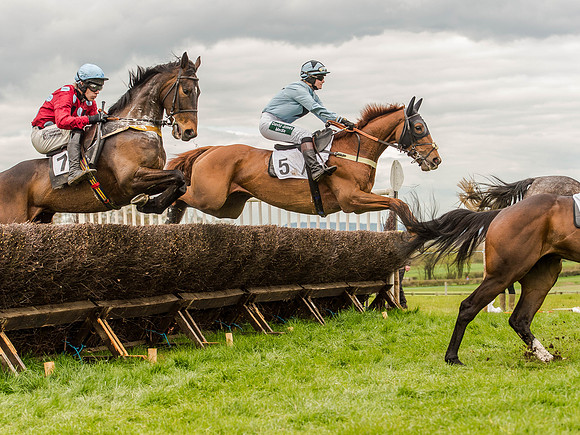 Race 3 - Young Horse maiden 2m5f (66 of 124).jpg