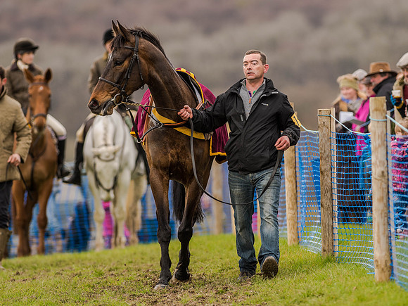 Race 3 - Young Horse maiden 2m5f (12 of 124).jpg