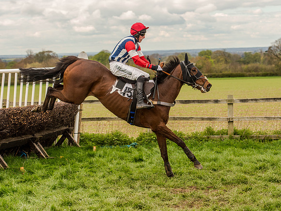 Race 3 - Young Horse maiden 2m5f (75 of 124).jpg