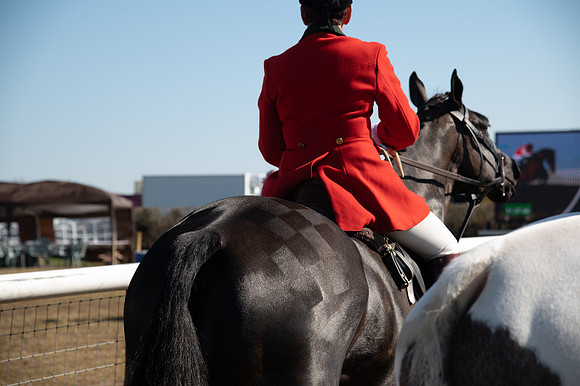 Hunt Horses annd Hound parade (14 of 44)