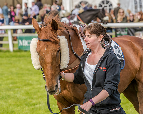 Race 4 - PPORA Novice Riders (5 of 196).jpg