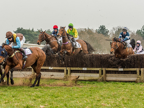 Race 5 - Open Maiden Division 2 (63 of 112).jpg