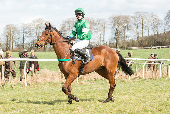 Race 2 - Confined Hunts Race (31 of 87).jpg