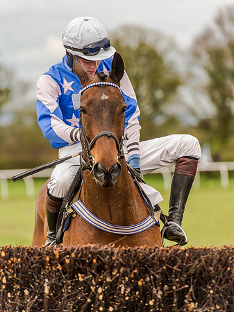 Race 1 - Confined Hunts (44 of 118).jpg