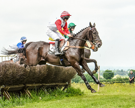 Race 2 - PPORA Members Novice Riders  (52 of 112).jpg