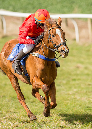 Pony Race 2 - 148cm  (31 of 49).jpg
