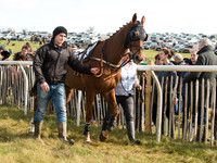 Race 2 - Confined Hunts Race (9 of 87).jpg