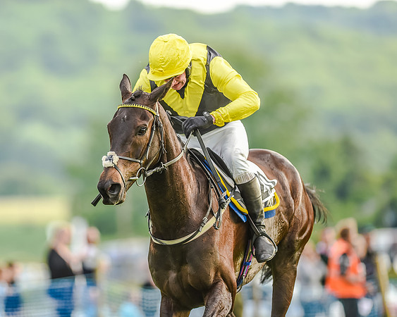 Race 7 - Div 2 - Open Maiden (124 of 163).jpg