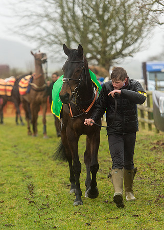 Race 4 - Rectricted Race (23 of 133).jpg