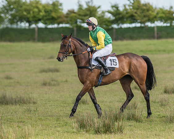 Race 6 - Open Maiden Race (4 of 71).jpg