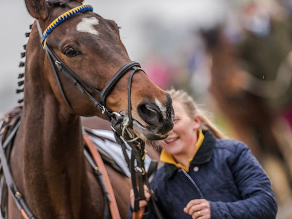 Race 5 - Open Maiden Division 2 (24 of 112).jpg