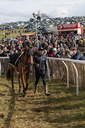 Race 4 - Novice and Veteran Riders race (6 of 46).jpg