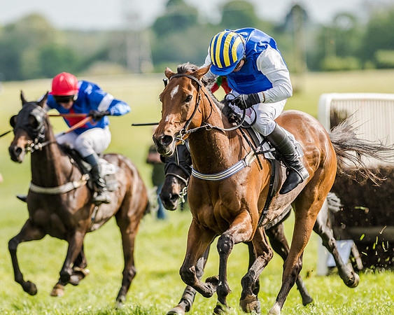 Race 5 - Division 2 - Restricted Race (70 of 105).jpg