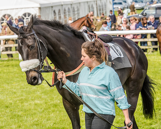 Race 4 - PPORA Novice Riders (37 of 196).jpg