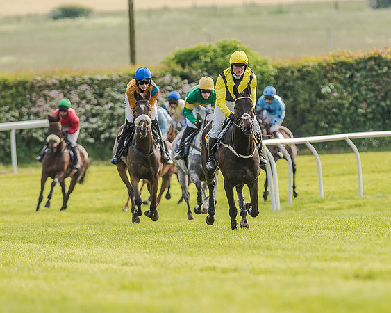 Race 7 - Div 2 - Open Maiden (70 of 163).jpg