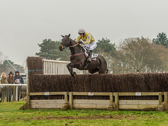 Race 5 - Open Maiden Division 2 (67 of 112).jpg