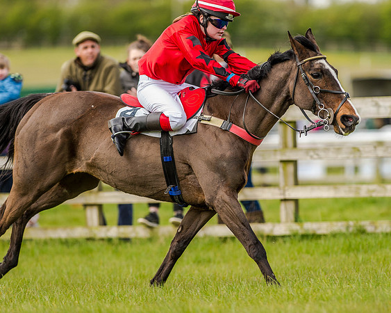 Pony Race 2 (48 of 77).jpg