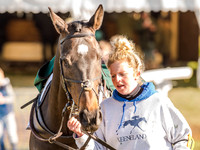Race 6 - The Open Maiden (17 of 122).jpg