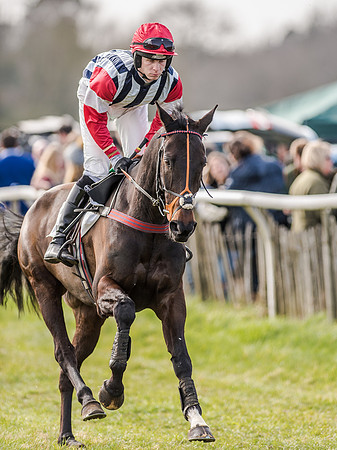 Race 4 - PPORA Club Members for Novice Riders (40 of 131).jpg