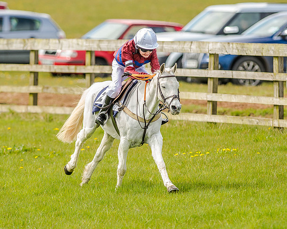 Pony Race 1  (49 of 65).jpg