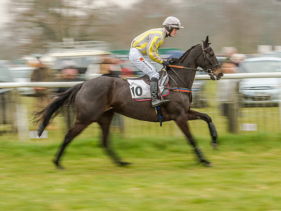 Race 5 - Open Maiden Division 2 (44 of 112).jpg