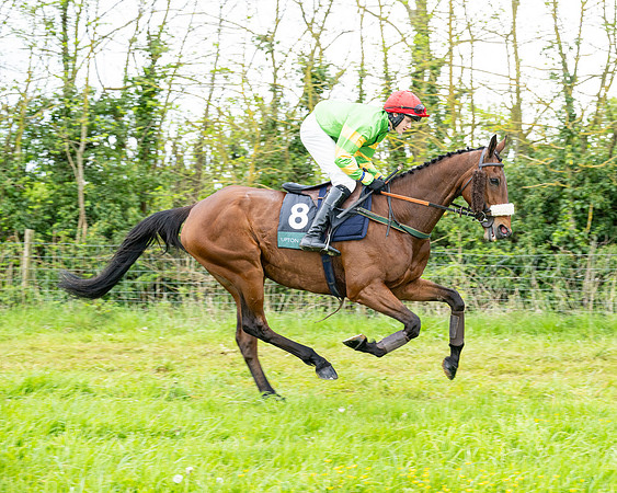 Race 2 - 2M4F Conditions (67 of 195)