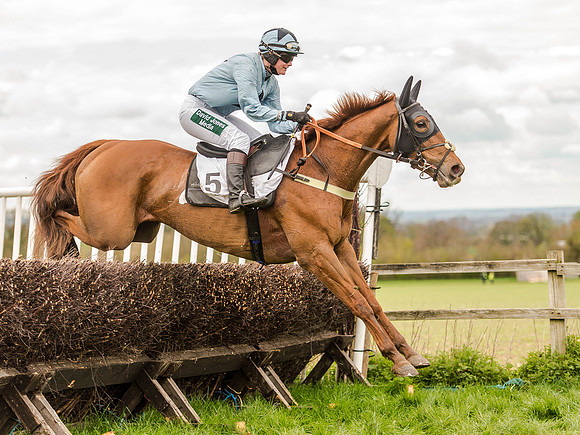 Race 3 - Young Horse maiden 2m5f (102 of 124).jpg