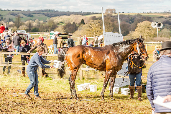 Race 6 - The Restricted Race [Nov-Vet] (82 of 84).jpg