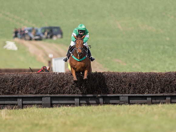 Race 2 - Confined Hunts Race (49 of 87).jpg