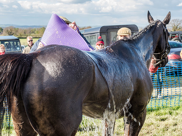 Race 5 - The Southern Grand national (80 of 96).jpg
