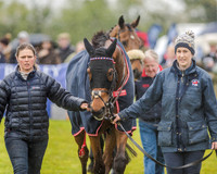 Race 3 - Confined Hunts (19 of 122).jpg