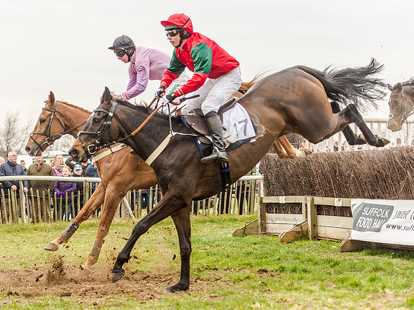 Race 5 - Open Maiden Division 1  (50 of 90).jpg